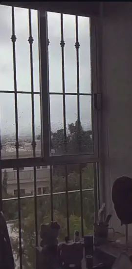 ✨🌧️CLOUDY AND RAINY DAY🌧️✨. #darkasthetics #ａｓｔｈｅｔｉｃ #calm #moody #calmdown #relaxing #nostalgia #asthetic #cinematicvideo #explore #alone #naturaleza #nature_perfection #planet #rain #usa #usa🇺🇸 #mx #méxico #homealone #Home #tranquility #suspiro #solo #meamo #arboles #plantas #paisaje #tormentas #morning #goodmorning 