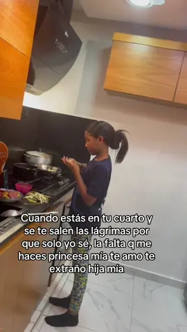Siempre estaré orgulloso de ser tu padre 😭🕊️💔#princesa #miniña #teamo #teestraño #mivida 