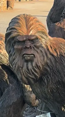 Bigfoot wood carvings #bigfoot #senoiageorgia #funnyclips   #onthisday 