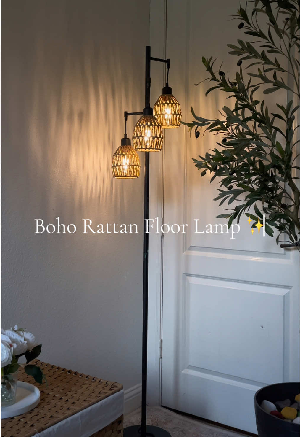 Aesthetic Floor Lamp Ever Exi~ #tiktokshopfinds #floorlamp 