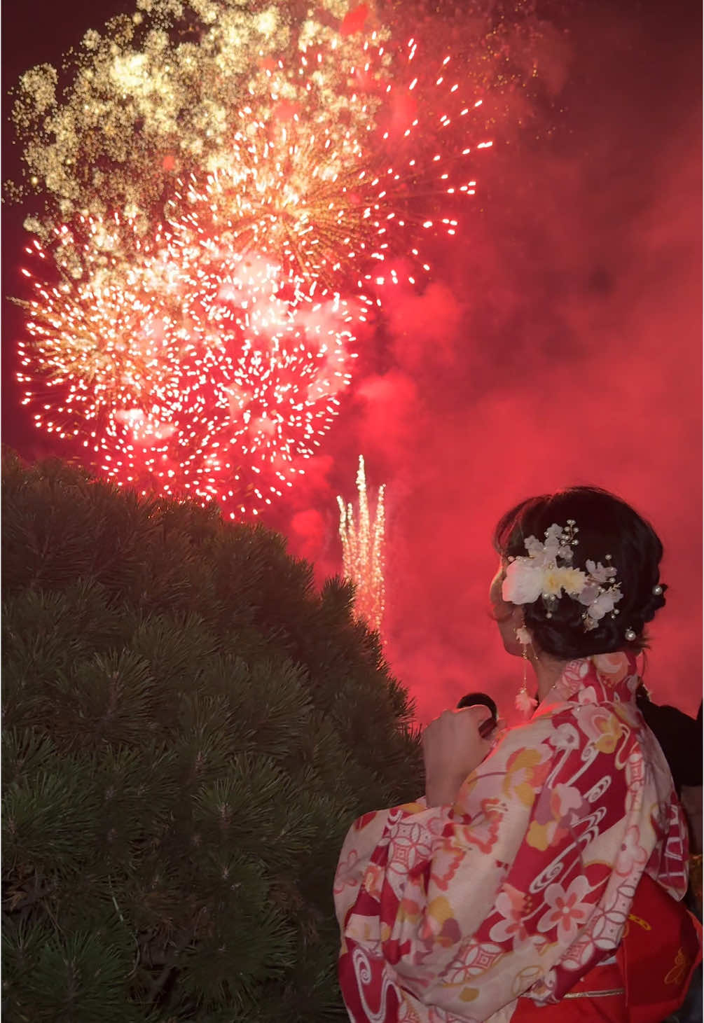 kirei desu ne~😣 #hokkaido #sapporo #fyp #jisshusei🇮🇩x🇯🇵 #fypシ #hanabi #花火 #natsu #ponorogo 