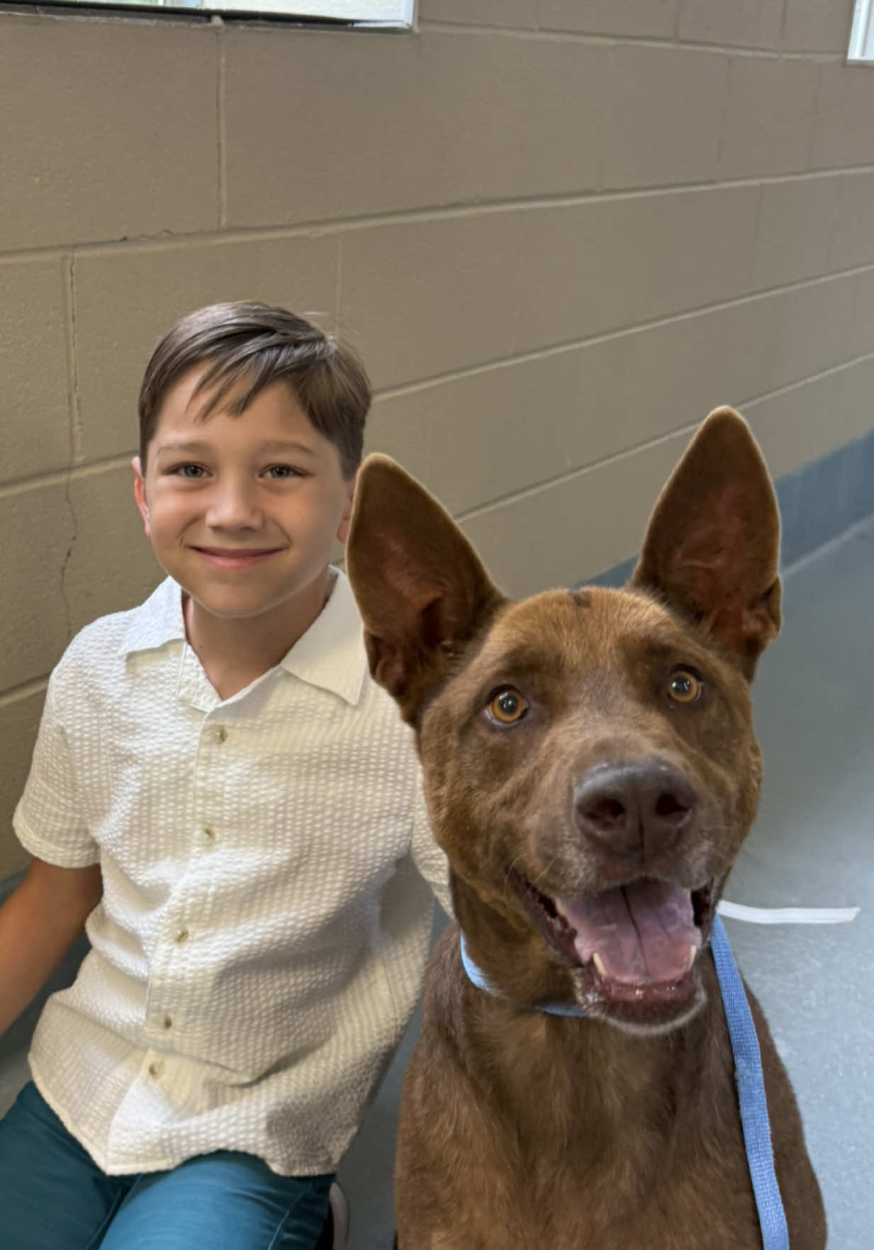 Important message from Mason: Adopt a dog! Mason’s been helping out in the rescue world since he was a baby, he’s basically grown up helping our fosters and at adoption events. Today he stopped by to give the dogs some love and remind everyone that there are SO many amazing pups just waiting for a home! #adopt #adoptme #shelterdog #volunteer #houstontx #rescuedog 