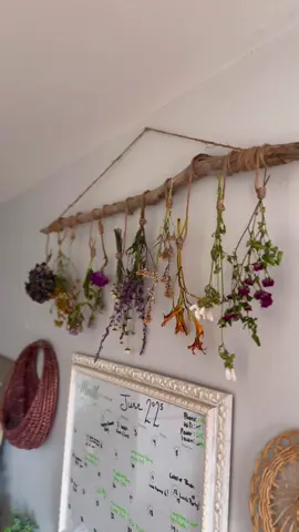 Summertime crafting.       Cottage Core edition. #driedflowers #wildflowers #cottagecore #driftwood #fyp #bohemian #DIY #homedecor #diyhomedecor #kitchenwitch 