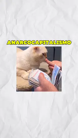 anarcocapitalismo explicado com gatos