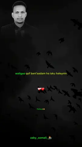 waligaa ha isku haleynin-🔥#dhiirigalin #zaky_somali_🧑‍💻 