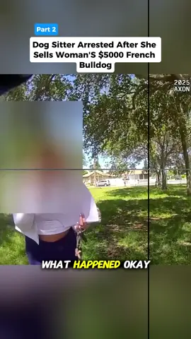 Dog sister arrested after she sells woman’s $5000 French bulldog #cops #police #copsoftiktok #policeofficer #bodycam 