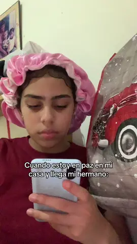 Nada más viene a joder 🙄 #foryoupage #ivgarx #RD🇩🇴 #parati #tiktokponmeenparati #ariela640 #viral 
