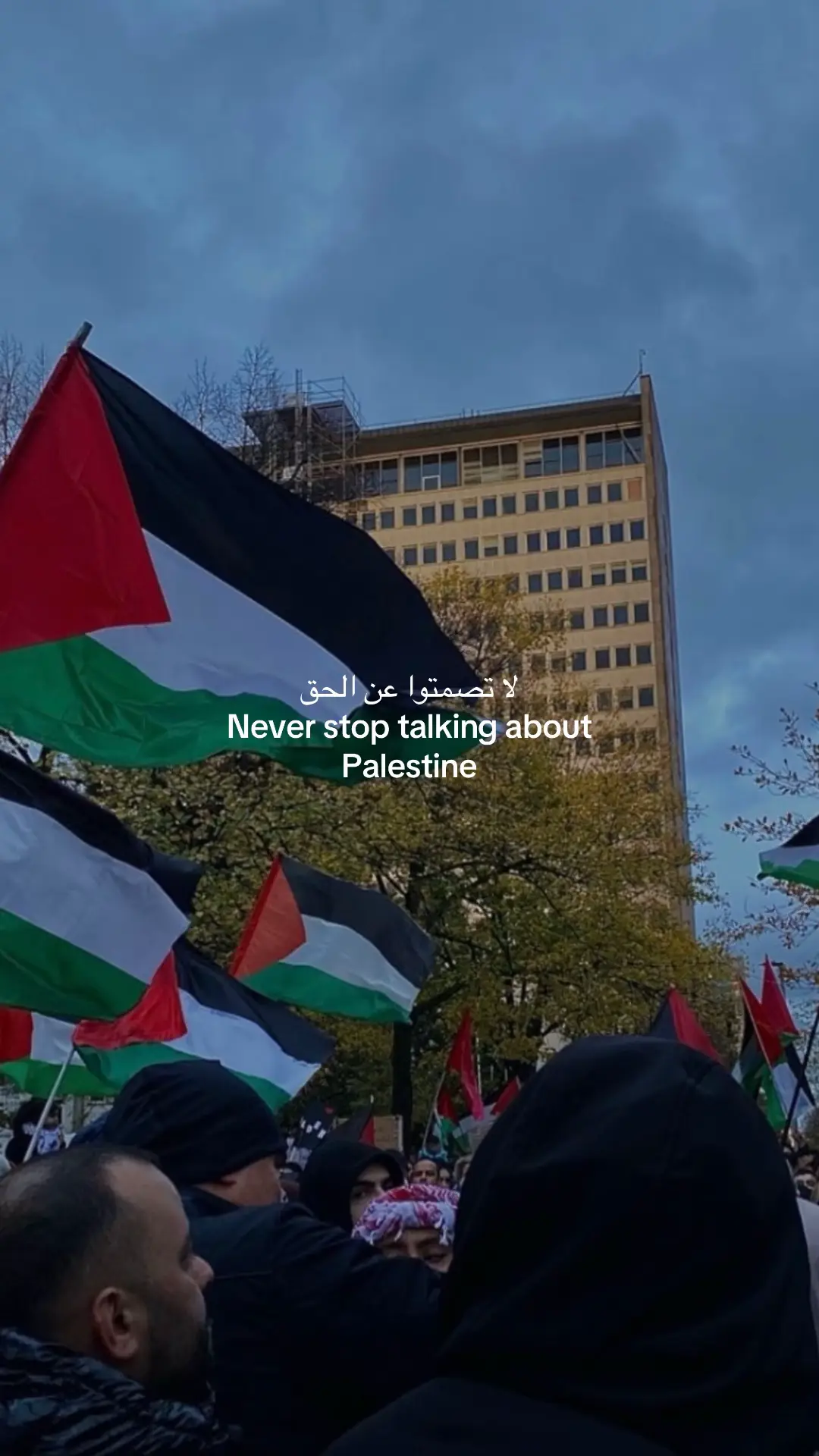 #fy #fyp #muslim #freepalestine #palestine 