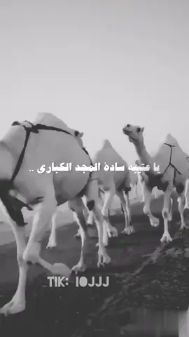 #اكسبلور #الشيابين_الدهاه #عتيبه #برقا_روق_عتيبه #ملهم_الشيباني 