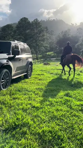 🫀cabezón 🐎