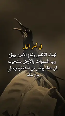 #عبارات_راقية💯 #تصميمي #كسبلور_explor #viral 