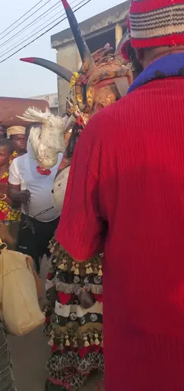 #igboamaka 