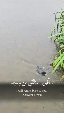 Islamic poem#islam#nash#islamic 