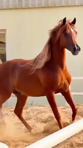 #💛 