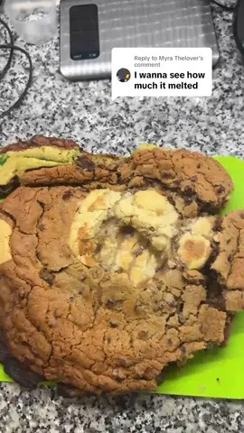 Replying to @Myra Thelover It just got worse and worse #wumpus #discord #cookie