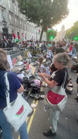 Stop starving Gaza / London / Downing Street protest #لندن #احتجاج Gaza#London protest #palestine🇵🇸 