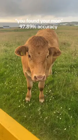#viral #fyp #funny #youfoundyourmoo #fyppp 