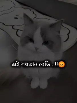 কিরে লজ্জা করে না !! 🤨     #CapCut #tiktok #trending #foryou #1million #fyppppppppppppppppppppppp #fypシ @TikTok 