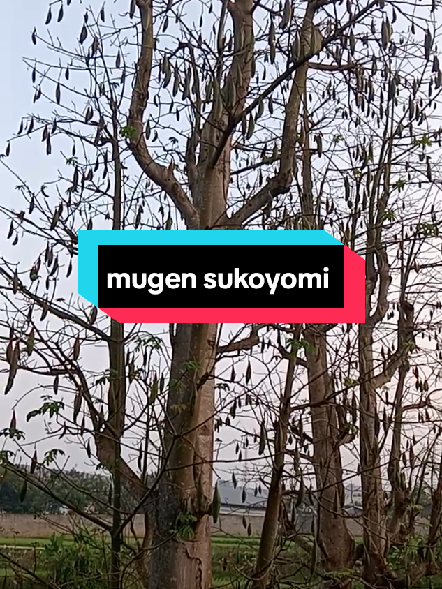 tolong kami narutooooo !!! #mogensukoyomi #pohoncakra #akatsuki #madara #pds4 