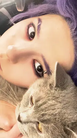 💜🐈‍⬛🧠-#cosplay #shinso   #shinsoucosplay #shinsocosplay #cosplaymha #mhacosplay  