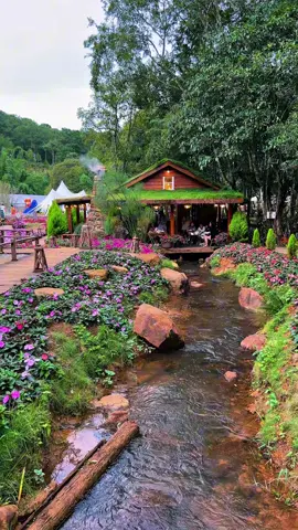 Cập nhật tình hình suối bình yên tại Đà Lạt cho các bạn đây  🥰 📍 Suối Bình Yên  #dalat #loinhodalat #suoibinhyen 