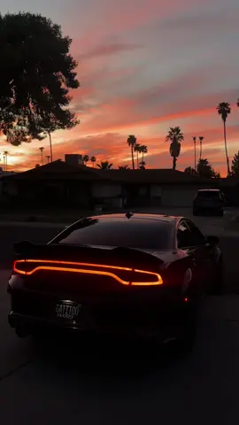 #dodgecharger #hellcat #octanered #srt #fyp #carsoftiktok 
