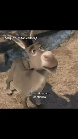 #mecore #miperzonalidad #burroshrek #humor #grscioso #parativiral #viralparati #foryou 