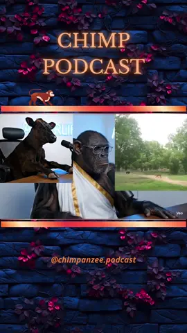 Part 18 | Rip bullski #ai #podcasts #goviral #fyp #ustrending #chimpanzee #foryou #foryoupage