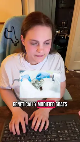 Spider silk is 5x stronger than steel… and spiders just poop it out. Billion-dollar biotech could never 🕷️💅 #BugFlex #BugTok #WeirdScience #SpiderFacts #LearnOnTikTok #NatureIsMetal