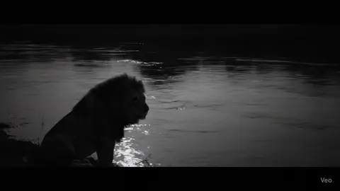 رايحتلي الدنيا #هوجيس #السعوديه #العراق 