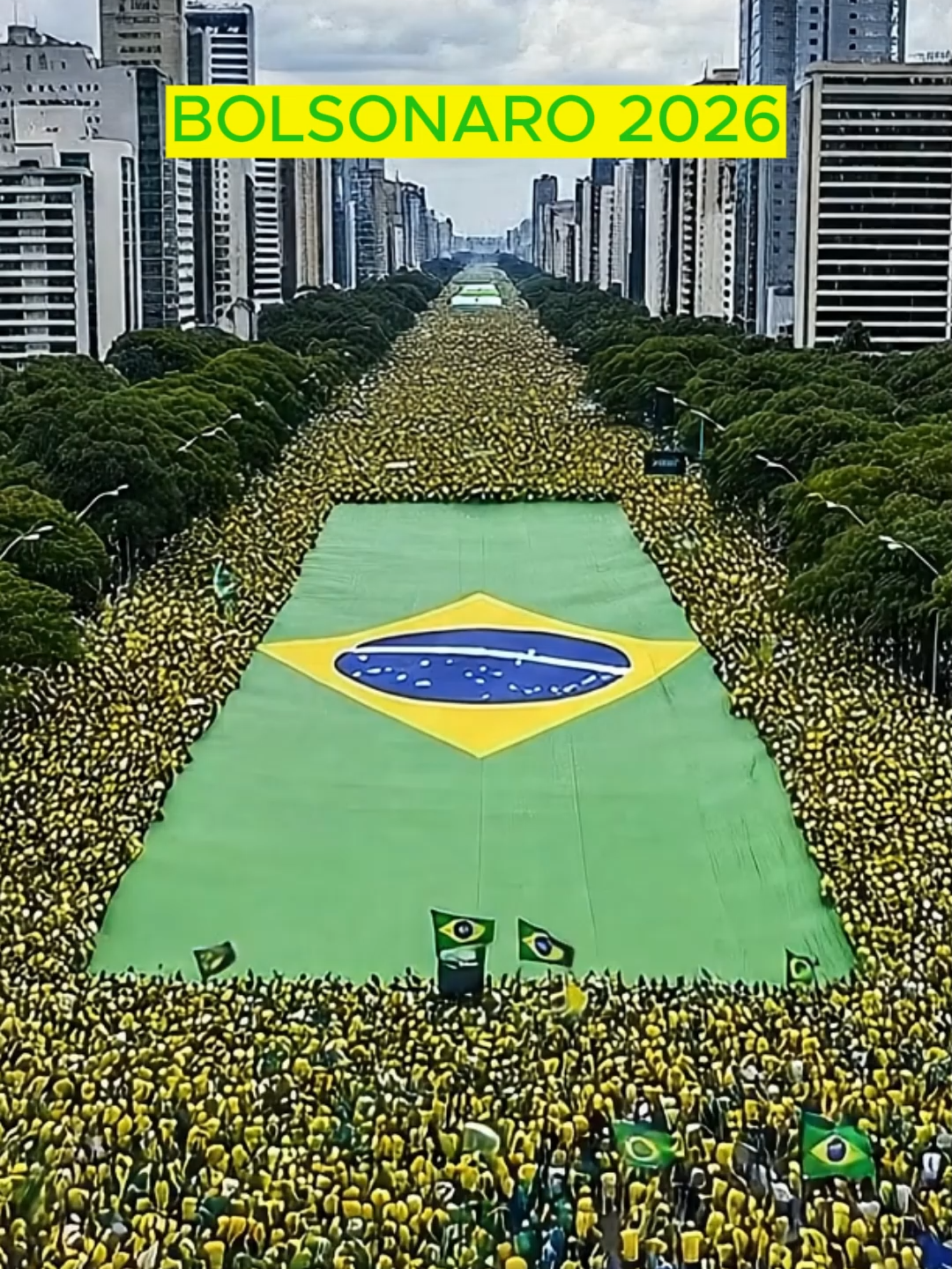 Nossa bandeira jamais será vermelha!! #bolsonaro #bolsonaro22 #bolsonaro2026 #fyviral #viral_video