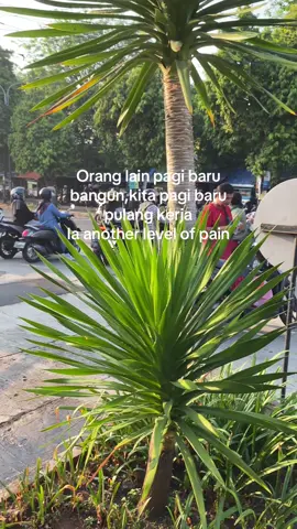 #fyp 