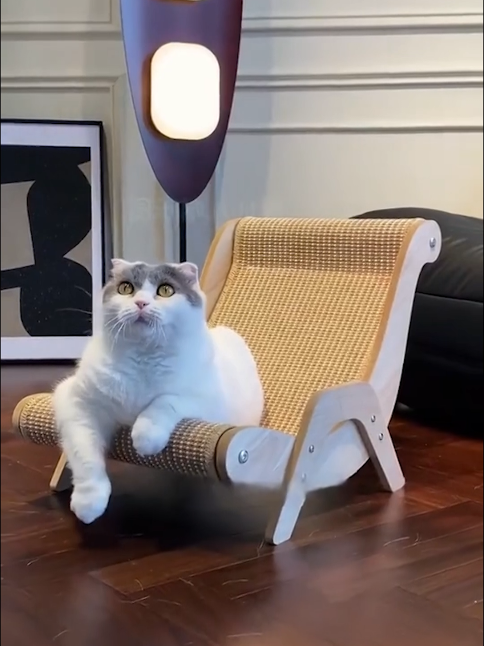 😻 Sgratta&Nanna è la Poltrona Tiragfraffi più amata dai gatti! ✨️ Clicca qui e scopri l'offerta 👇
