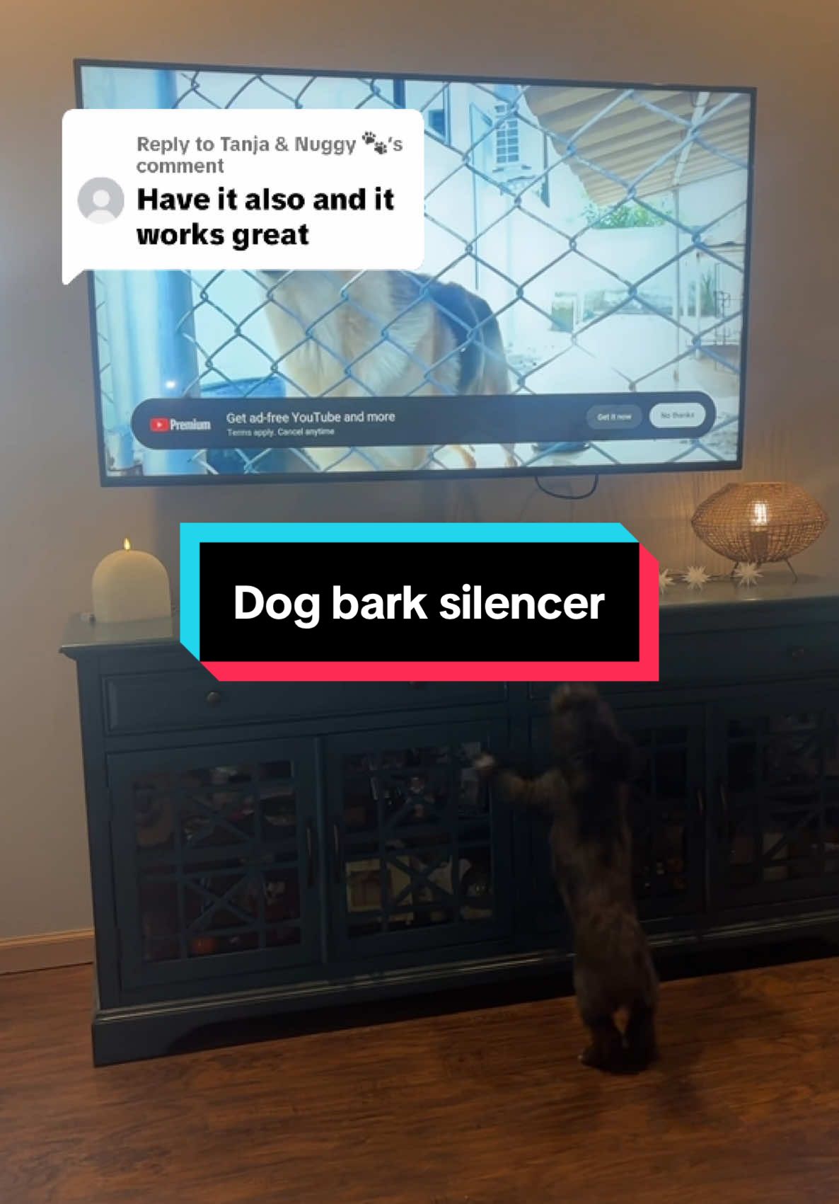 Replying to @Tanja & Nuggy 🐾 dog bark stopper works like a charm! #dogs #dogsoftiktokviral #bark #tiktokshopcreatorpicks 