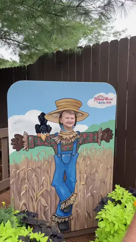 Mini vacation #boymom #holidayworldsplashandsafari 