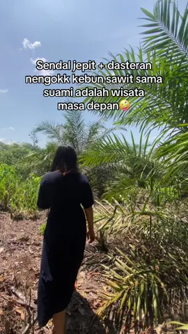 #sawit #kebunsawit #sawitkalimantan 