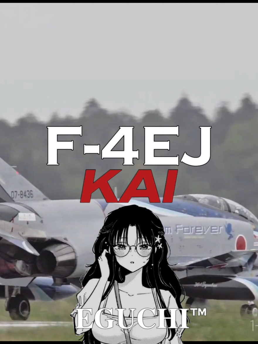 F-4EJ Kai | #fyp #f4 #fighter #japan #halicali 