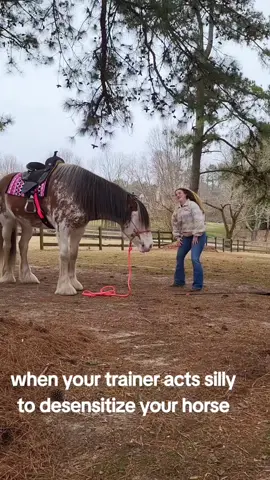 Horse:Are you Ok?  #funny #funnyvideos #fyp #foryou #foryoupage #fypage #usa 