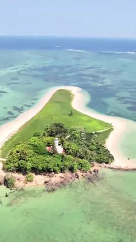 🌊 Una isla real en Veracruz que parece de otro planeta Aguas cristalinas, arrecifes vivos y cero construcciones. 📍 Isla de En Medio, un santuario natural que pocos conocen. 💬 ¿La visitarías sabiendo que no puedes dejar huella? ⬇️ Guarda este video y compártelo con tu persona aventurera. #Veracruz  #IsladeEnMedio #MéxicoDesconocido   #HelloMexico 