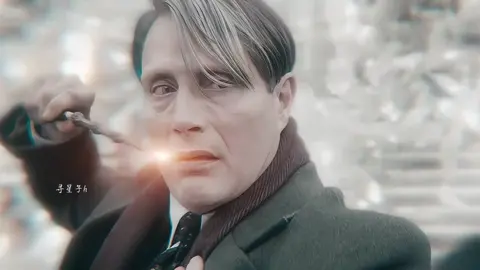 #douyin #dumbledore #grindelwal #ggad #harrypotter #fantasticbeasts 