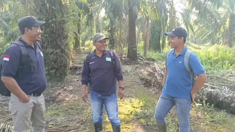 ditunggu klarifikasi nya... 
