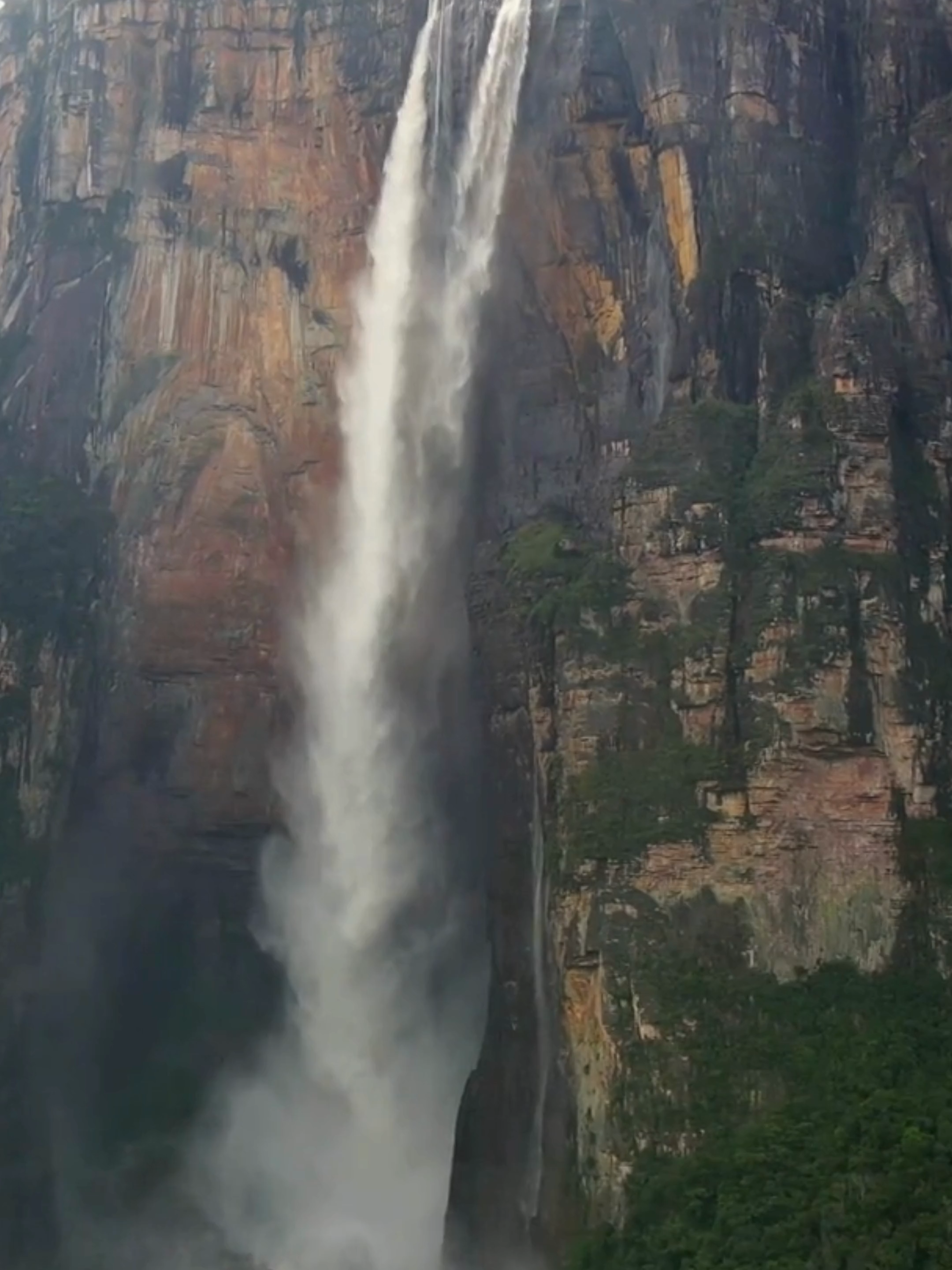Um cenário tão surreal que parece de outro planeta. O Salto Ángel é a cachoeira mais alta do mundo, despencando de um penhasco gigante no coração da selva. E o Monte Roraima? Um dos lugares mais misteriosos e antigos da Terra. Explorar esse lugar é como caminhar nas nuvens – literalmente. 🗺️ Uma aventura que redefine a palavra “inesquecível”. #SaltoAngel #MonteRoraima #ViagemDosSonhos #NaturezaSelvagem #ParaísosEscondidos #Cachoeiras #LugaresIncríveis #TurismoDeAventura #ExploreMais #MundoIncrível #TravelTok #VenezuelaMagica #AventuraÉpica  #fyp #saltopelomundo