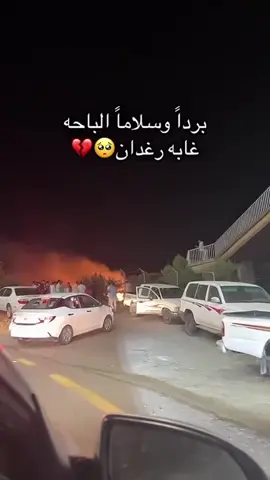 #غابة_رغدان🖤 #حريق_غابة_رغدان #الباحه_الجنوب 