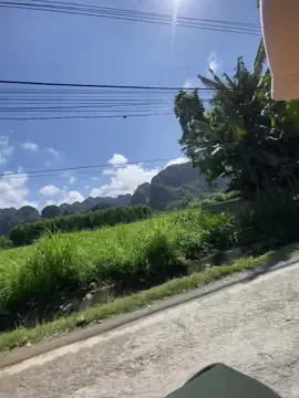 Bình yên 