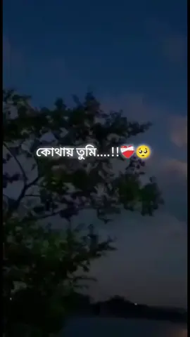 Kothay Tumi...!!🥺😓 #foryoupage #1kviews #bagladesh🇧🇩tiktok @TikTokofficial 