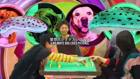Everytime I listen to the song I like it more #recorddogs #maki #japanesemusic #musictok #japanesepop #viral #musicrecommendations #pineappleorpina #jpop #playlist #music #guitar #jrock 