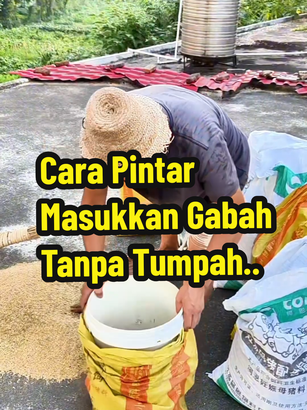 Petani ini punya trik sederhana tapi sangat jenius! Ia meletakkan ember berlubang di dalam karung, lalu memasukkan kabel untuk membentuk jalur tuang gabah yang lebih rapi dan efisien. Dengan cara ini, gabah masuk ke dalam karung tanpa tumpah dan tanpa repot. Siapa sangka ide sesederhana ini bisa begitu membantu? Wajib dicoba buat yang sering berurusan dengan hasil panen! #TrikPetani #IdeCerdas #GabahMasukKarung #KreatifBanget #PetaniIndonesia #LifeHackDesa