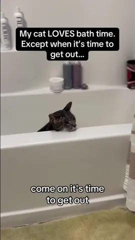 Have you ever met a cat that likes to take a bath 🛀 #cat #bath #funnycat #funnyvideos #catsoftiktok 