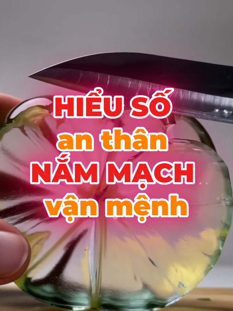 Cuốn sách 