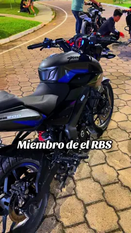 #motosdeelrb #rbs #motos #nsmodificada #bikers 